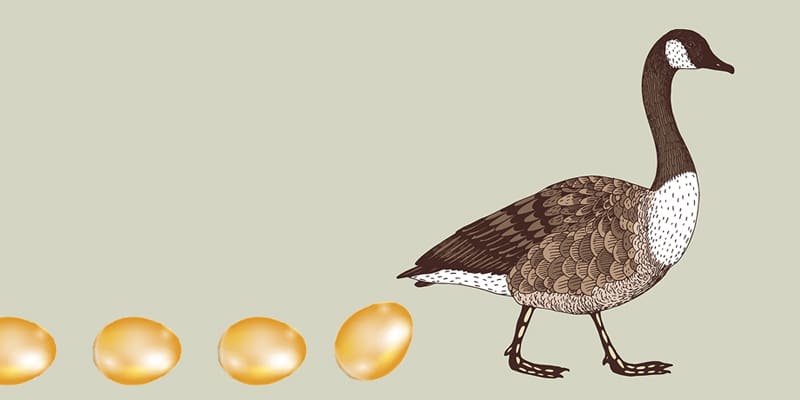 Why Open Source Components Might Be Hackers' Golden Goose