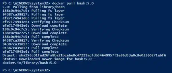 An example of a bash image downloaded from Docker Hub